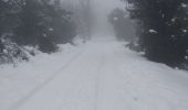 Randonnée Ski de fond Escragnolles - panoramique enneigé - Photo 13