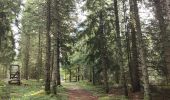 Tour Wandern Chalmazel-Jeansagnière - Au dessus de Chalmazel  - Photo 12