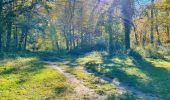 Trail Walking Lacroix-Saint-Ouen - en forêt de Compiègne_42_le Carnois et le Vivier Corax - Photo 6