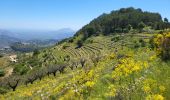Trail Walking la Vall de Laguar - Benimaurell 250525 - Photo 5