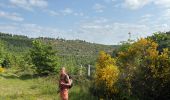 Trail Walking Sainte-Ode - Lavacherie - Photo 5