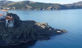 Tocht Stappen Banyuls-sur-Mer - banyuls . coll de gran bau . retour par le littoral  - Photo 2