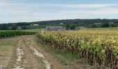 Trail Walking Bouteville - Bouteville : Sentier des Chaumes Boissieres - Photo 4