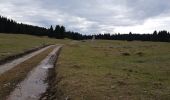 Randonnée Marche Échallon - Forêt d'Echallon, de Belleydoux - Photo 1