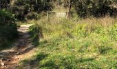 Trail Walking Mougins - Basique - Photo 4