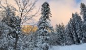 Percorso Racchette da neve Saint-Jean-de-Sixt - Le panorama du Danay (14) - Photo 1