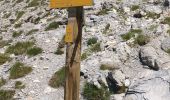 Tocht Stappen Uvernet-Fours - circuit des lacs depuis le col de la Cayolle - Photo 3
