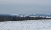 Tour Wandern Havelange - rando nettine 9/02/2021 - Photo 1