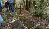 Trail Walking Rochefort - Han-sÃ»r-Lesse - Photo 6