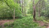 Trail Walking Seraing - bois de la vequée par les petits chemins (version courte) - Photo 19