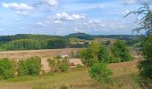 Tour Wandern Riemst - qwadrifyon ches les bataves  - Photo 11