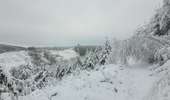 Trail Walking Tenneville - rando wyompont 11-01-2026 - Photo 16