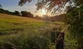 Randonnée Marche Barizey - Bourgogne à pied - Photo 10