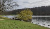 Tocht Stappen Tervuren - 2020-03-15 - Tervuren - Étangs de Vossem - Photo 19