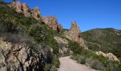 Tour Wandern Fréjus - Colle Douce - Pt Barban - Lacs Peguières - Col Essuyadou - Col des Sacs - Photo 3