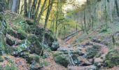 Trail Walking Omblèze - Canyon des Gueulard - Photo 3