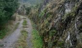 Tocht Stappen Vianden - vianden . stolzemmbour  - Photo 6