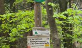 Randonnée Marche Climbach - Climbronn et le fossé antichar - Photo 12
