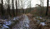 Trail Walking Beaumont-Louestault - Beaumont-la-Ronce - PR 1 - 9.7km 125m 2h15 - 2021 02 13 - Photo 4