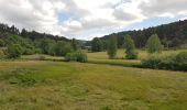 Tour Rennrad Langogne - NAUSSAC - COL DE LA PIERRE PLANTEE - Photo 12