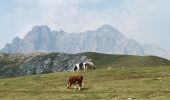 Tocht Stappen Camaleño - Fuente De (haut téléphérique au départ téléphérique  - Photo 7