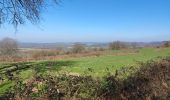 Trail Walking Durbuy - Heyd avec le chemin des crêtes  - Photo 11