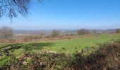 Trail Walking Durbuy - Heyd avec le chemin des crêtes  - Photo 11