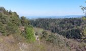 Trail Walking Ceyrat - GORGES DE CEYRAT EN BOUCLE PAR BERZET - Photo 20