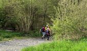 Tocht Stappen La Roche-en-Ardenne - Beausaint - Photo 12