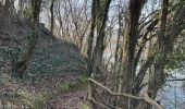 Trail  La Sône - La Sône le sentier du martin pêcheur  - Photo 7