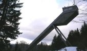 Tour Zu Fuß Brotterode-Trusetal - Rund um den Seimberg - Photo 2