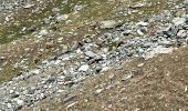 Trail Walking Cogne - 2 Refuge Victorio Sella Col du Lauson 3299 m Les Eaux Rousses +850 m - 1750 m - Photo 8