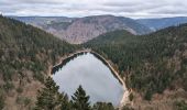 Tocht Stappen La Bresse - 2023-04-15 Marche Abri Collet de Etang vers Abri Lac de Blanchemer - Photo 1