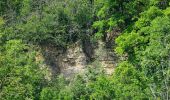 Tour Zu Fuß Bruchsal - BR - 13 Untergrombach Ungeheuerklamm Weierle - Photo 4