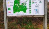 Trail Walking Lierneux - Promenade vers la fagne de la Crépale  - Photo 5