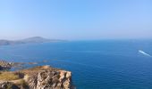 Trail Walking Banyuls-sur-Mer - cap del troc . coll de gran bau . cap réderis . retour par le chemin du littoral  - Photo 16