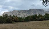 Tour Wandern Beaurecueil - Le tour du plateau du Cengle - Photo 4