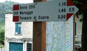 Randonnée A pied Bosco Chiesanuova - Percorso n. 1 - Photo 1