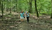 Tocht Stappen Rambouillet - la tour - Photo 1
