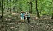 Excursión Senderismo Rambouillet - la tour - Photo 1