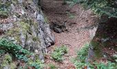 Randonnée Marche Lepuix - Giromagny - sentier des mines - 2 à visiter - Photo 8