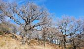 Tour Wandern Aubignas - Aubignas Chenavari 16km - Photo 3