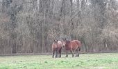 Tocht Stappen Aywaille - aywaille . corniche . trou des chiens . florzé . chateau d ambleve . martinrive . aywaille  - Photo 3