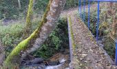 Trail Mountain bike Saint-Marcellin-en-Forez - 241020 lurieq la goutte - Photo 2