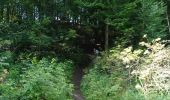 Trail Walking La Roche-en-Ardenne - Maboge, champs Thomas - Photo 2