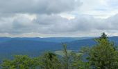 Trail Walking Vecoux - circuit vecoux depuis Parking les coucherons passant par 5 chalets - Photo 6