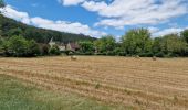 Randonnée V.T.C. Castelnaud-la-Chapelle - Castelnaud à l'abbaye Nouvelle et retour (Dordogne) - Photo 10