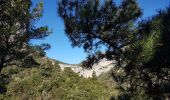 Randonnée Marche Saint-Guilhem-le-Désert - St Guilhem - vers la Bissone, retour par le Verdus - Photo 7