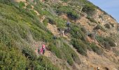 Tocht Stappen La Croix-Valmer - Boucle en partant de la plage de Gigaro - Photo 12