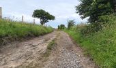 Trail Walking Aywaille - Le tour de septroux - Photo 10